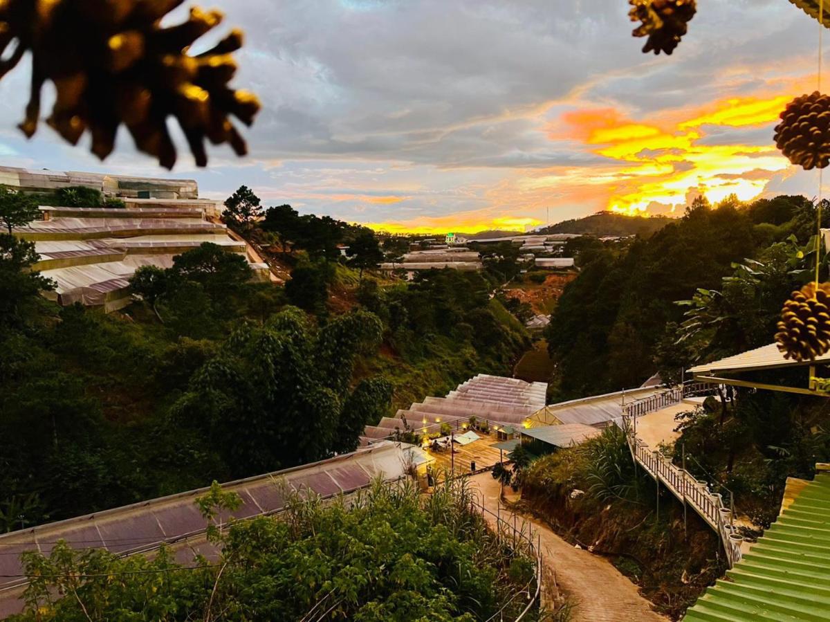 Đà Lạt 2019 Homestay
