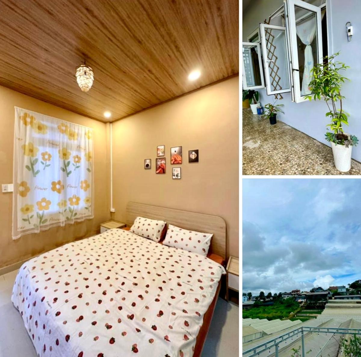 Cỏ Bốn Lá homestay