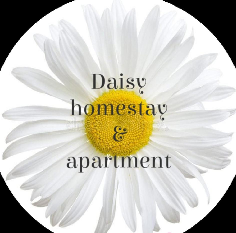 Daisy homestay & apartment