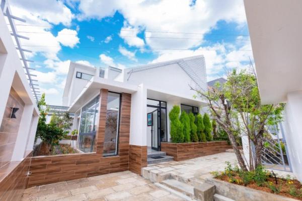 Duck House