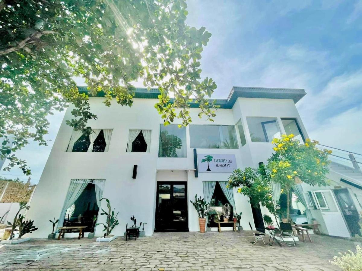 Evergreen Homestay