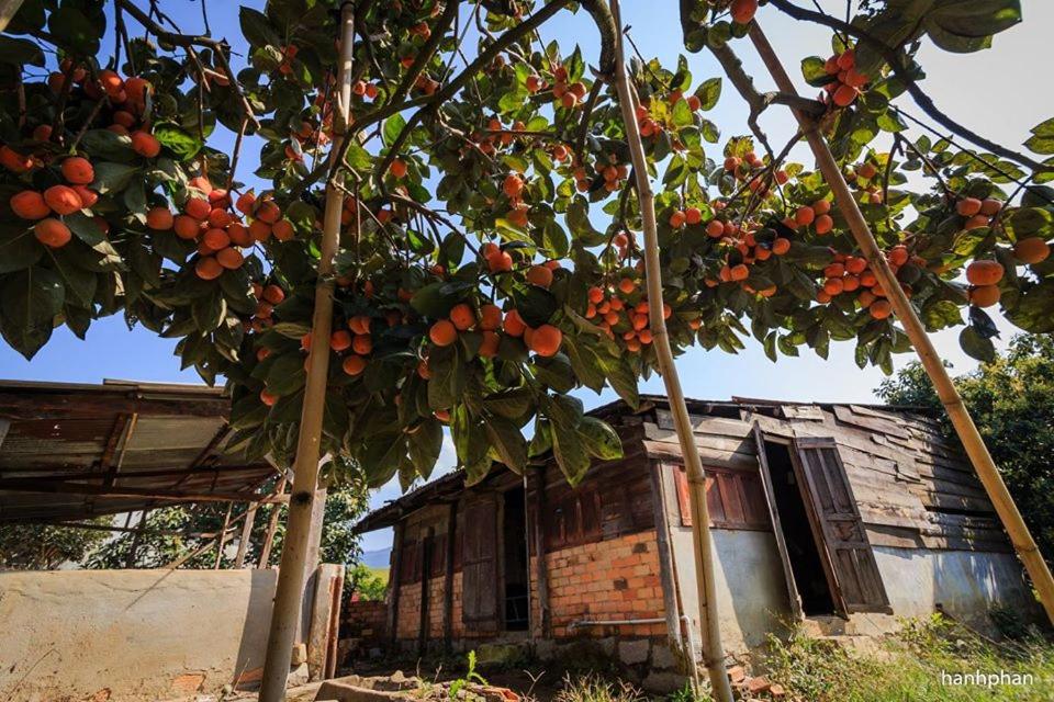 FarmHomestay near ZooDoo