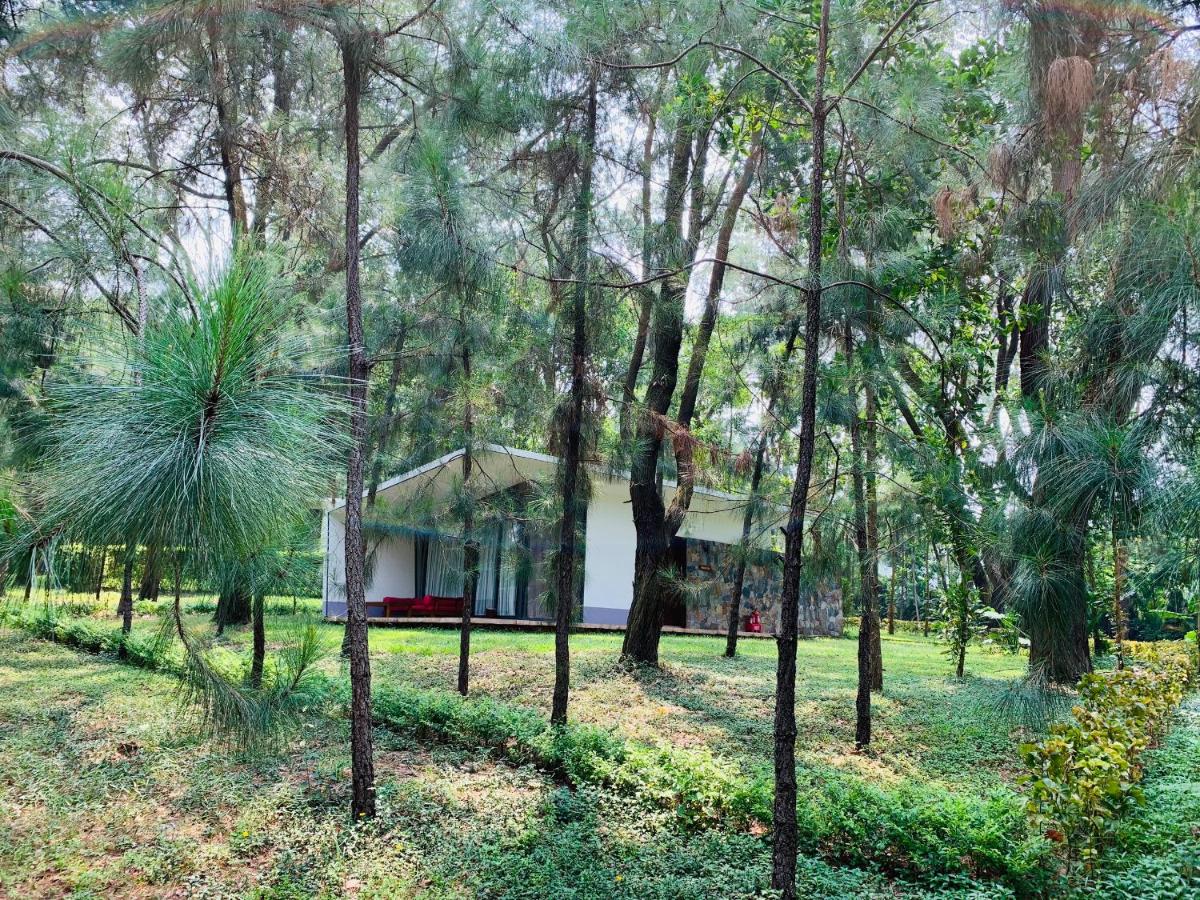 Flamingo Dai Lai - Hilltop Villa H226
