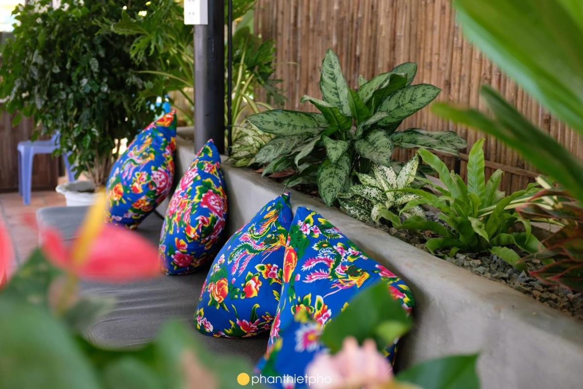 Gạo Guest House