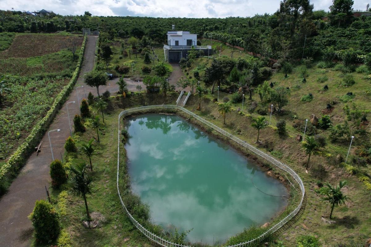 Gạo homestay