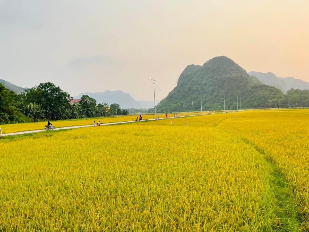 Huy-Mountainside Homestay