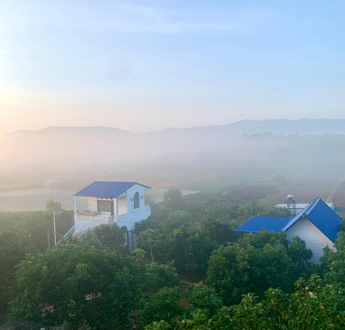 Điểm du lịch canh nông Avocado Farm