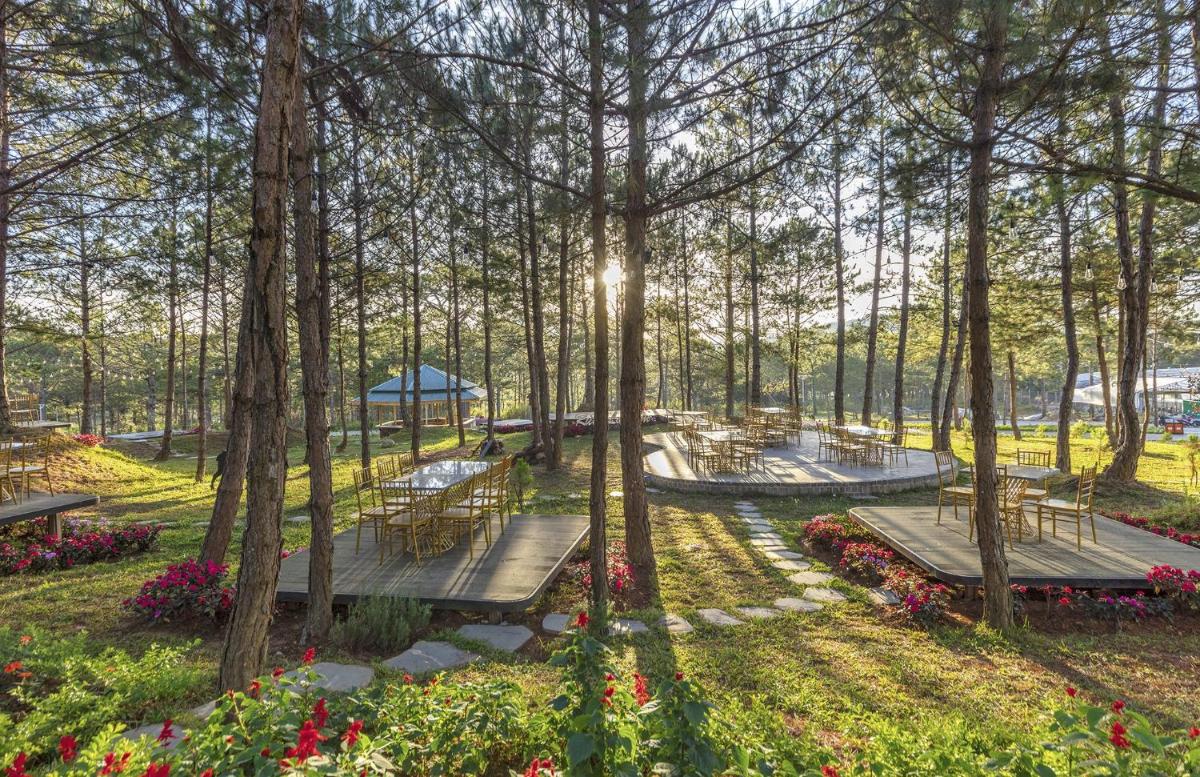 Kim Resort - Khu Nghĩ Dưỡng Rừng Lá Kim