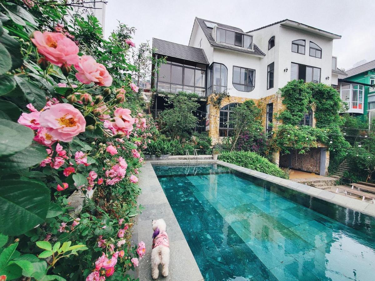Le vent Tam Đảo homestay