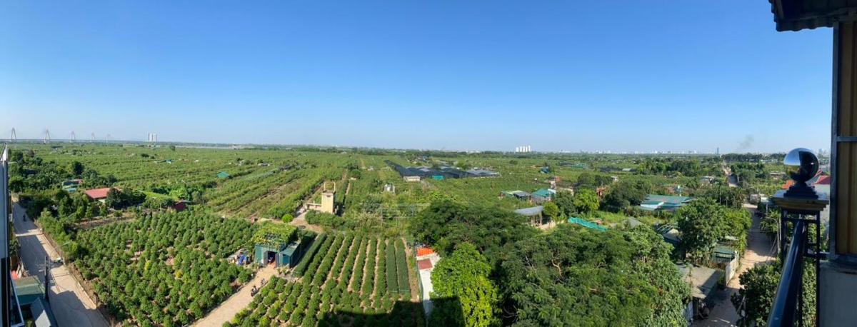 Panorama green view studio 264.5.1