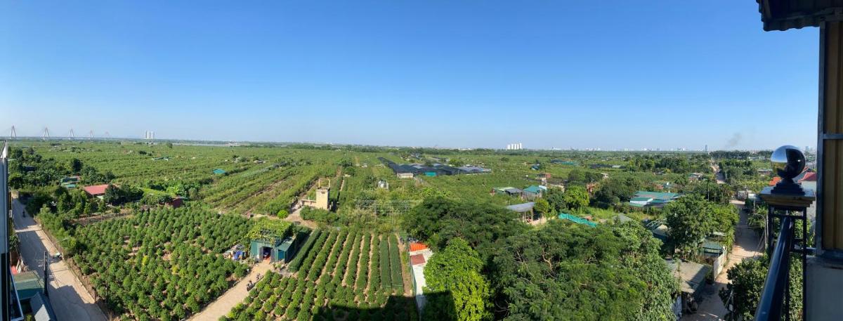 Panorama green view studio 264 p502