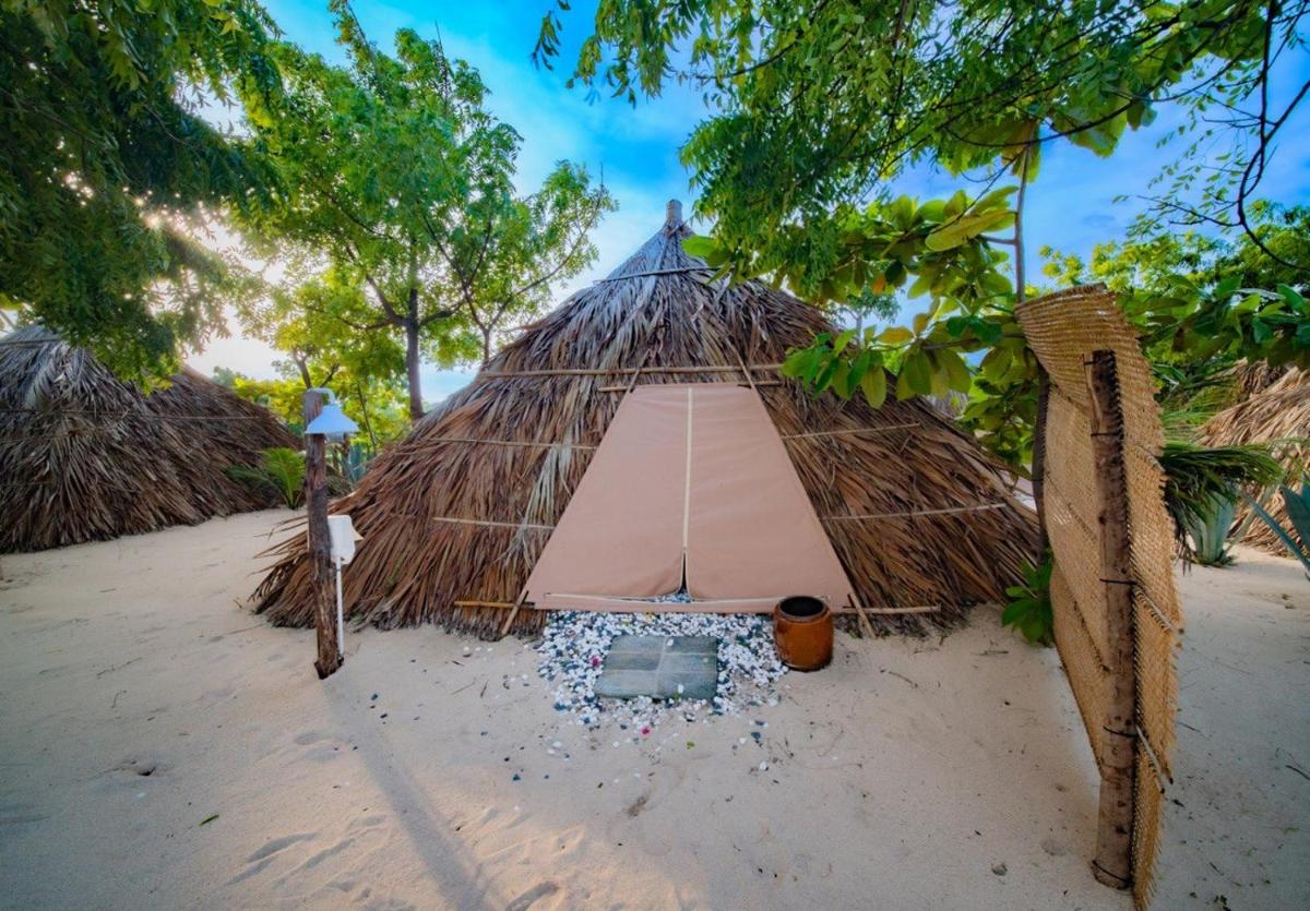 Vietnam Surf Camp